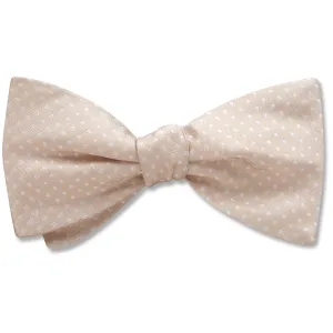 Oriel Champagne - Dog Bow Ties