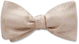 Pembroke Champagne - Dog Bow Ties