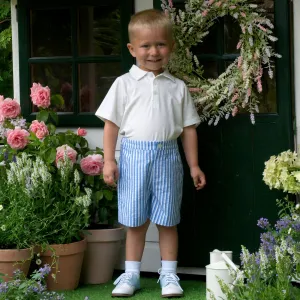 Seersucker Stripe Shorts